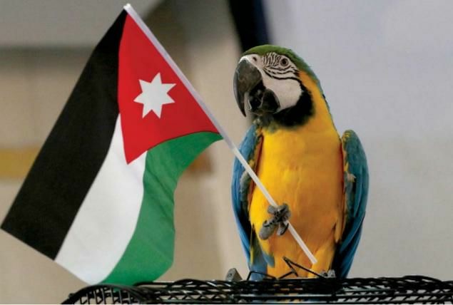 جمعية هواة ومربي طيور الزينة تنظم