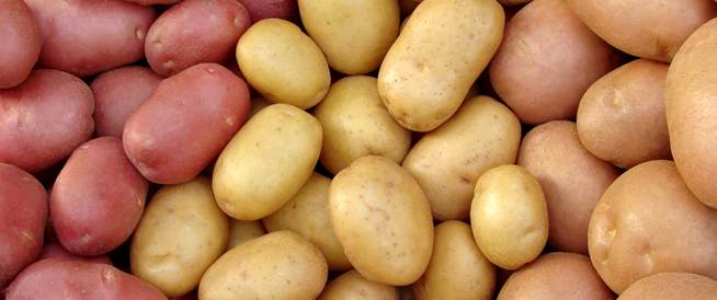 تحذير من نفاذ مخزون البطاطا والبصل..