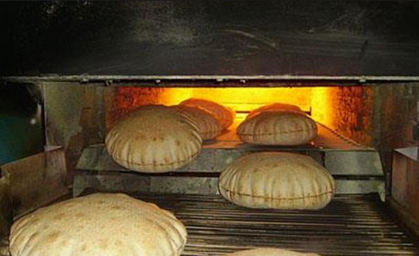 ضبط حشرات داخل مخبز ووقف انتاج