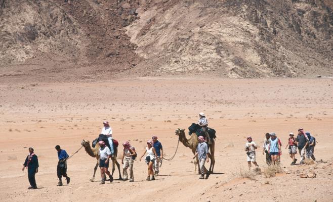 إغلاق 50 مكتب سياحة وسفر منذ