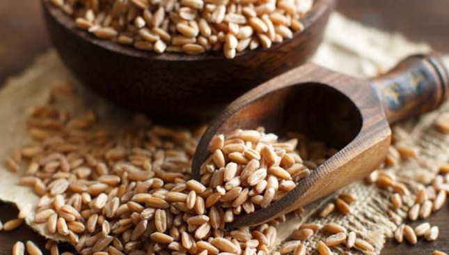 الأردن يشتري نحو 60 ألف طن