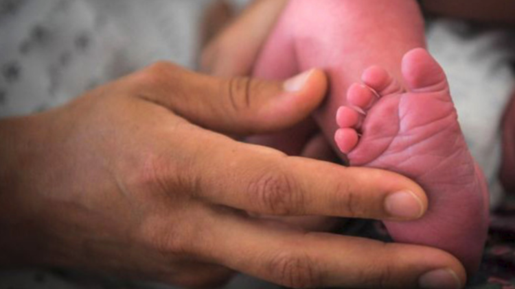 فرنسا تحقق في ولادة أطفال دون