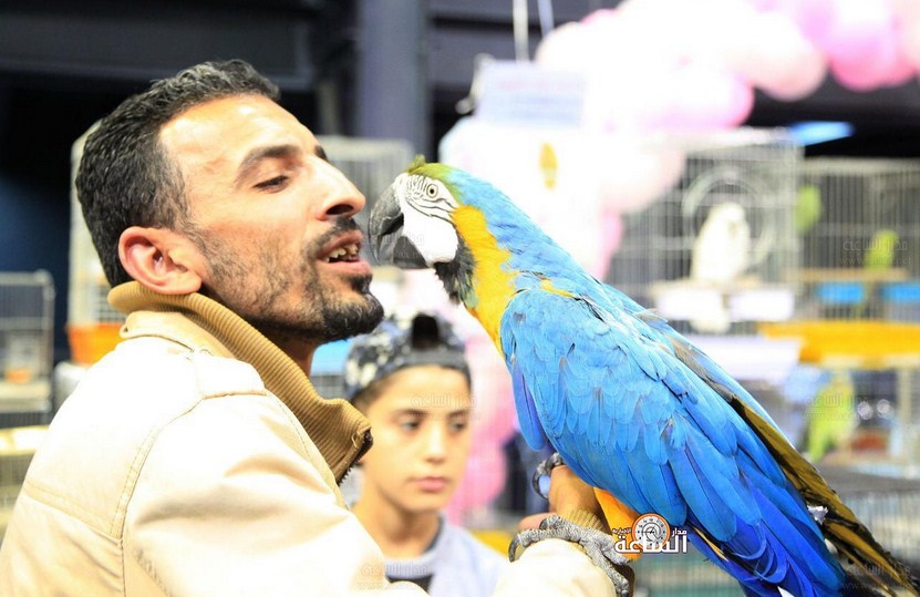 معرض لطيور الزينة في عمّان (صور)