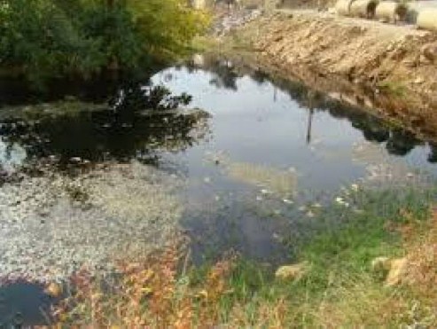 اجراءات رسمية مشتركة للتخلص من مادة