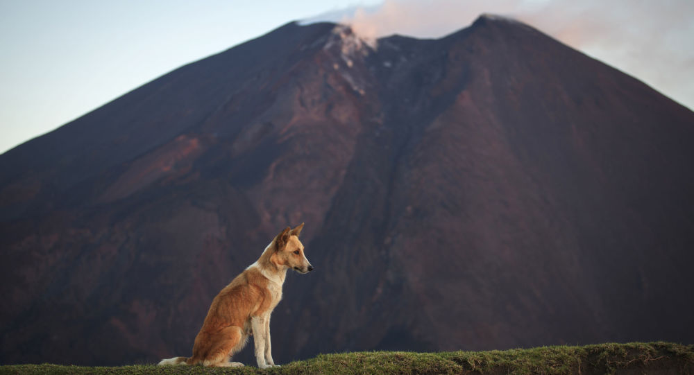 تسونامي هائل قد يأتي على مناطق