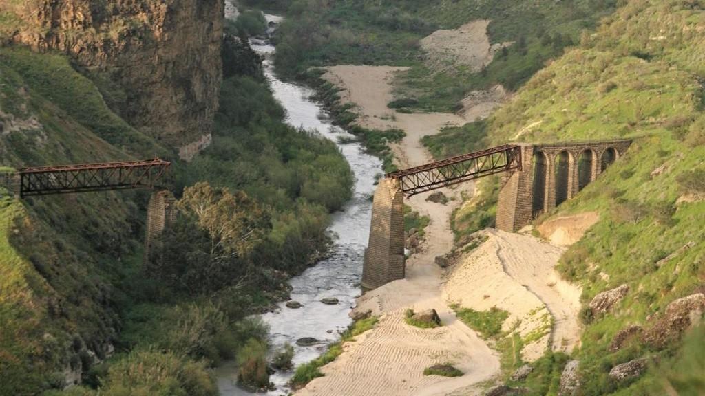 غنيمات: الاردن سينفذ التزامه للدخول في