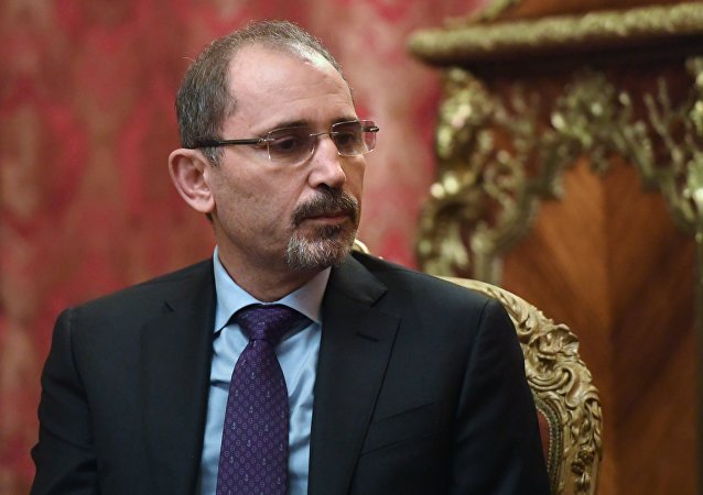 الصفدي يجري مباحثات مع وزيري خارجية