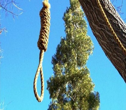 جثة معلقة على شجرة في الزرقاء