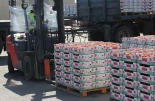 الزراعة تؤكد قيامها بـ «الكشف الحسي