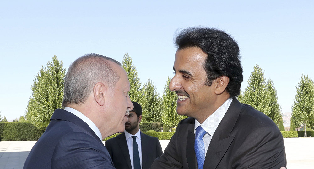 الرئاسة التركية: أمير قطر يلتقي أردوغان