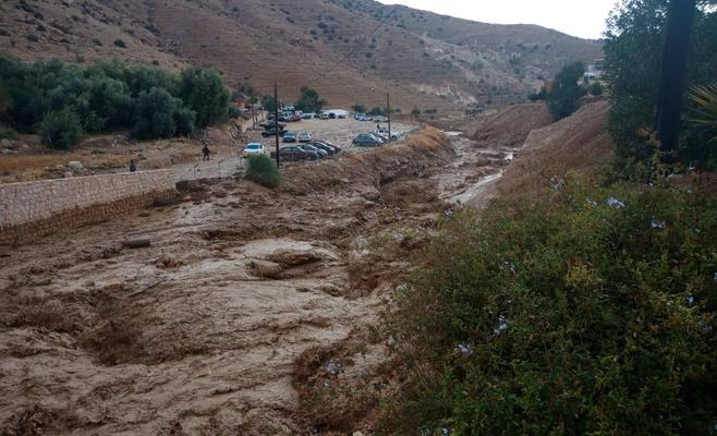 بلدية الأزرق تتعامل مع 4 حالات