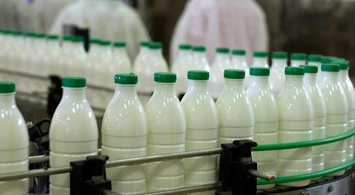 المفرق.. تحويل مدير مصنع ألبان للمدعي