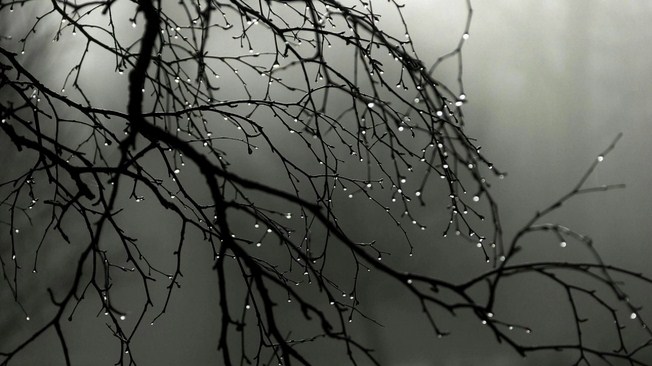 طقس العرب: حالة جديدة من عدم