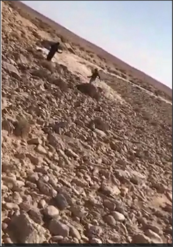 أردنيون ينسون التحذيرات ويعبثون بمياه سيل: