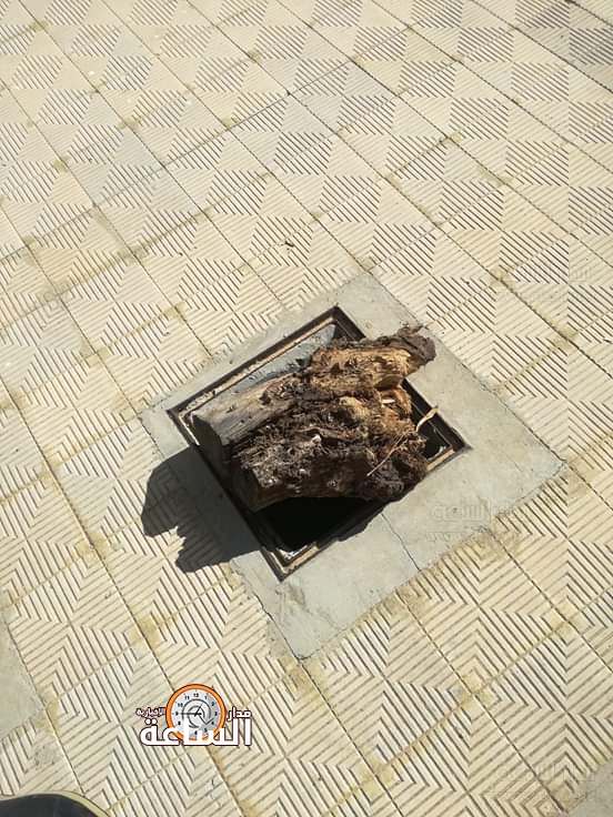 الأمانة: لا نتهم اي جهة