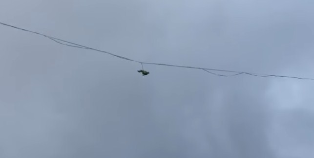 في روسيا.. رجل يسقط من ارتفاع