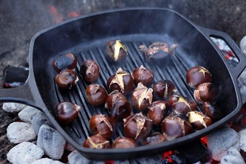 الكستناء تفيد بالتخلص من الوزن