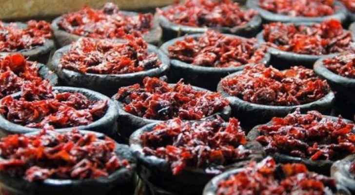 إغلاق محل يبيع ’معسل‘ منتهي الصلاحية