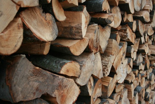 عجلون : ضبط شخص اعتدى على