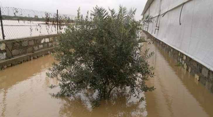 الزراعة تحذر بشأن المنخفض الجوي القادم