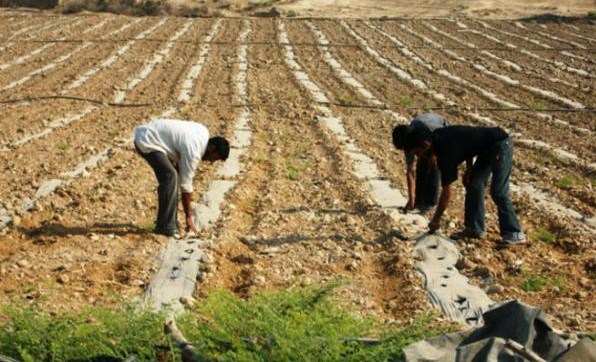 «نقابات واتحادات» تصدر بيانا ناريا: الأردن