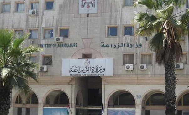 «الزراعة» توضح مفهوم أراضي الخزينة المسجلة