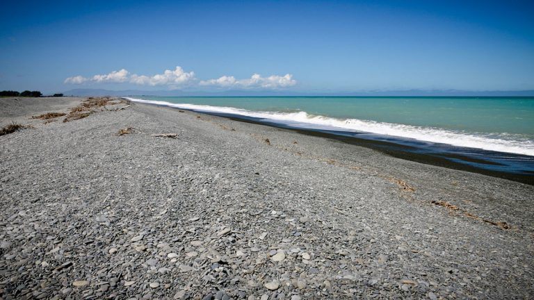 وصفوه بالشيطان.. مخلوق غامض على الشواطئ