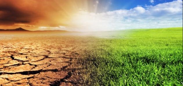 تقرير: 29 تريليون دولار فرصا استثمارية