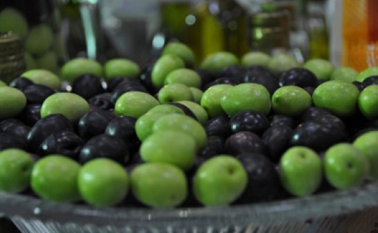 تزايد الطلب على زيت الزيتون الاردني