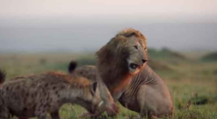 اللقطات الأكثر إثارة العام الحالي (فيديو)