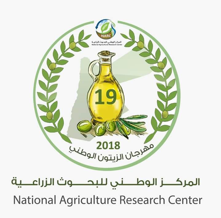 مهرجان الزيتون.. ومعجزة التنمية المحلية