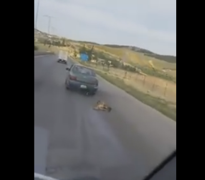 ضبط شخص قام بجر كلب بواسطة