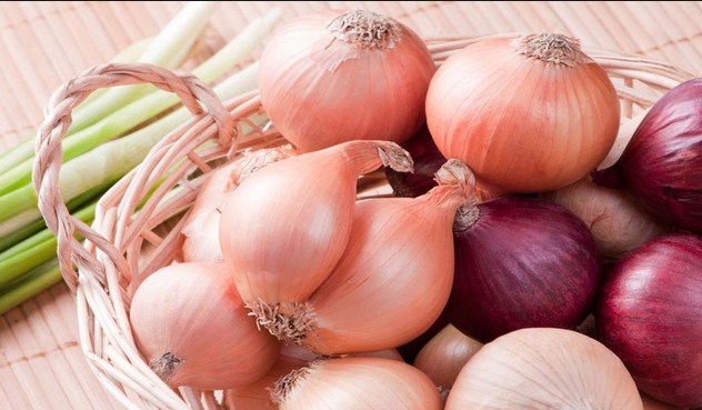 الزراعة تسمح باستيراد البصل لتغطية حاجات