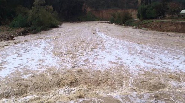 محافظ عجلون : ابتعدوا عن مجاري