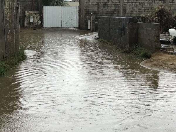 المياه تداهم منازل المواطنين بالشونة الجنوبية