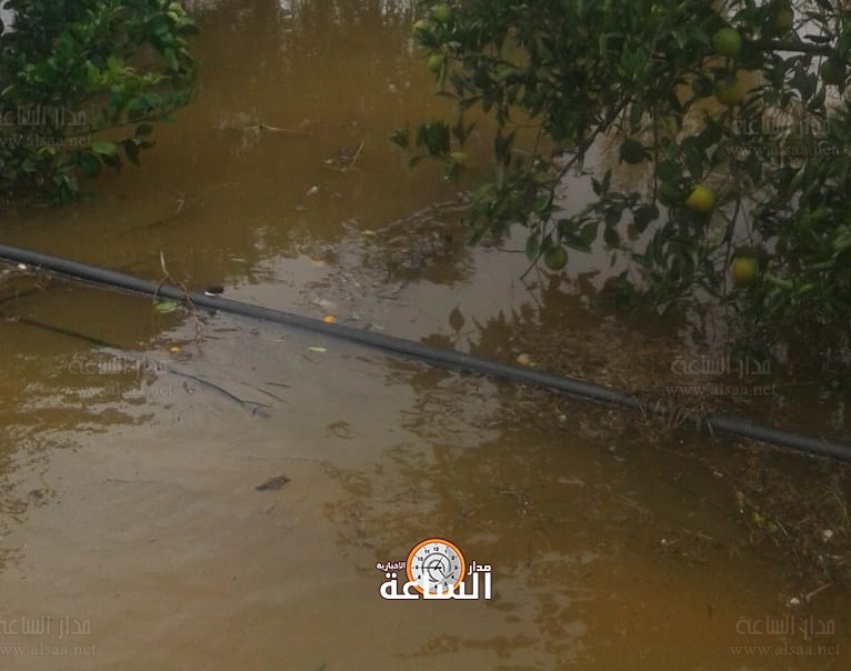 «مزارعو وادي الاردن» يرفعون الصوت: مياه