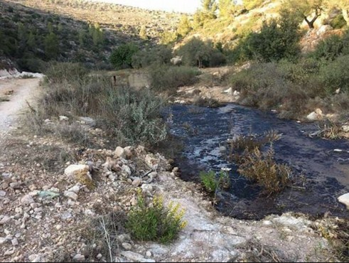 الشحاحدة: بركة ثالثة لاستيعاب مياه الزيبار