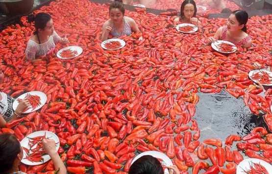 صينيون يواجهون البرد بأكل الفلفل