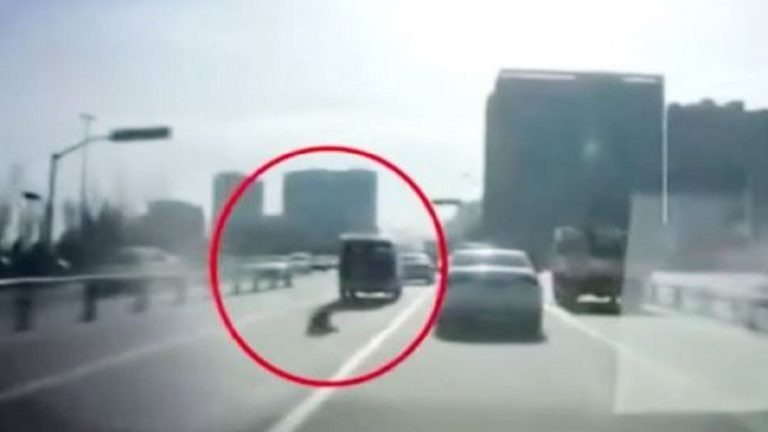 نجا بأعجوبة.. شاهد بالفيديو سقوط طفل