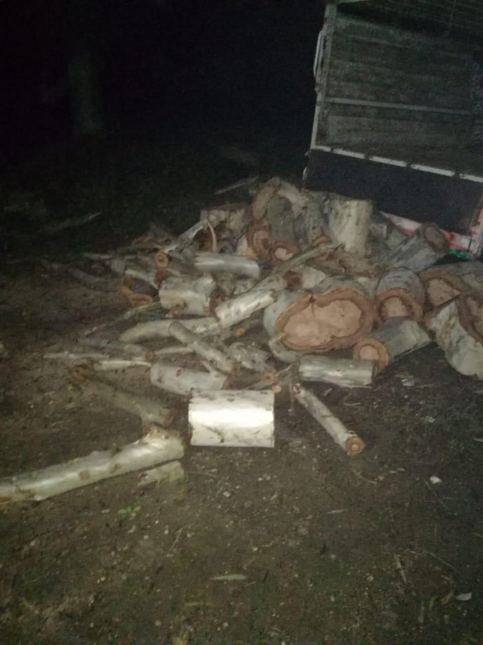 البيئة تضبط (30) طنا من الأشجار