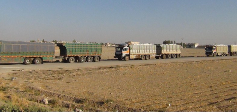 «النقل» تسمح بعبور (500) شاحنة إلى