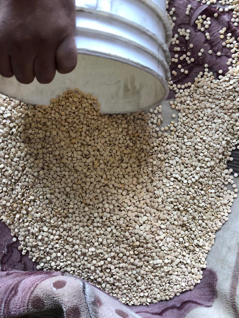 القبض على 4 اشخاص حاولوا تهريب