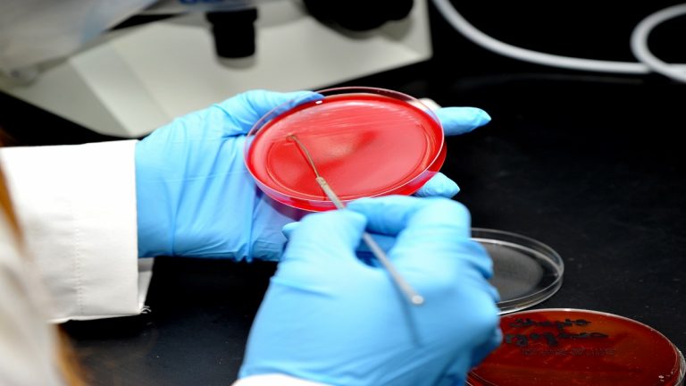 اكتشف صدفة.. علاج واعد لسرطان الدم