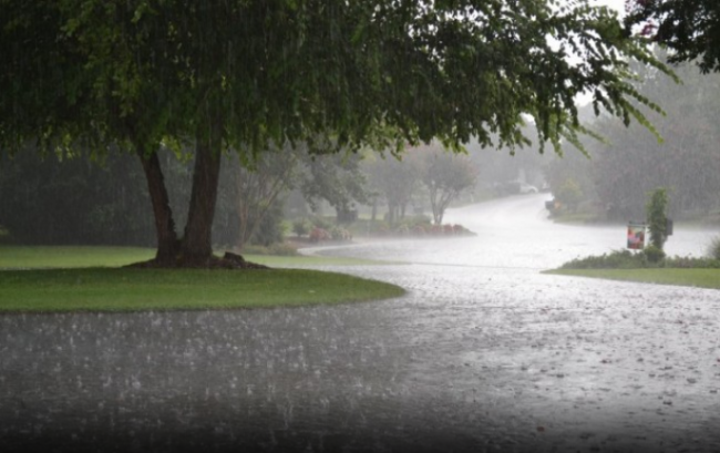 هذه كميات الأمطار المسجلة خلال المنخفض