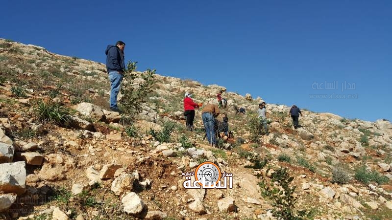 قصة حزينة تقود إلى إنشاء غابة