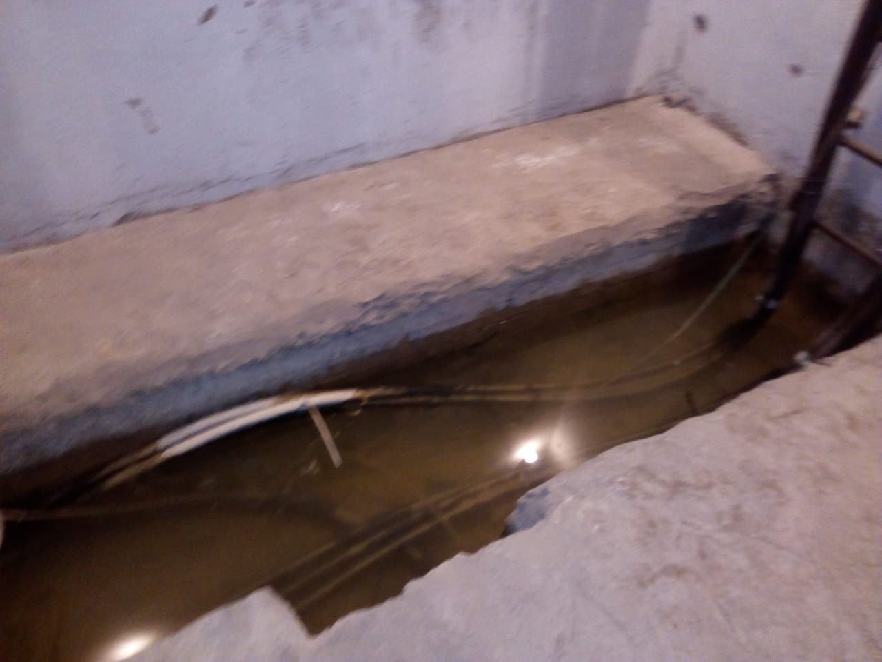 العناية الإلهية تنقذ عائلات أردنية من