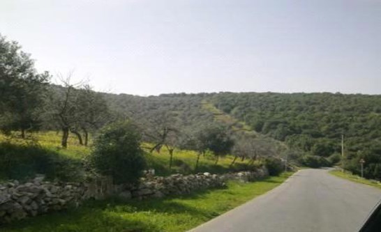 زيادة رواتب عمال الوطن في بلدية