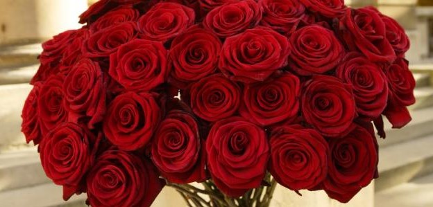 عبدالله نشوان يرزق بـ «راشد»