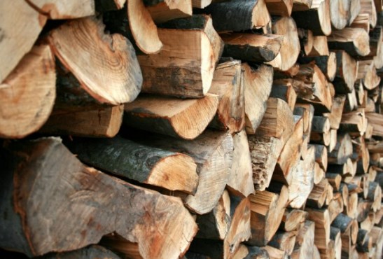 عجلون:ضبط اعتداءات على 30 شجرة حرجية