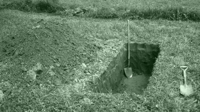 بعد أن جاءهما في المنام.. هذا